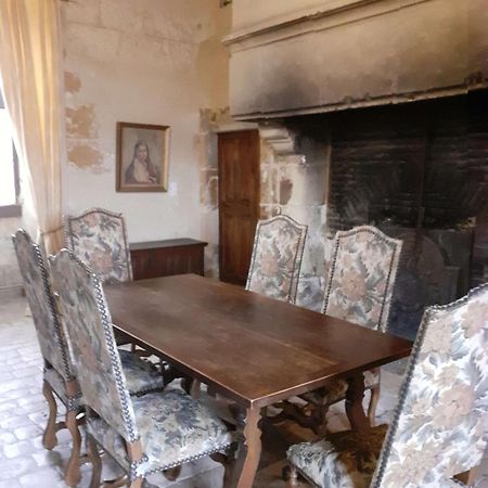 Chateau De Chémery Zewnętrze zdjęcie