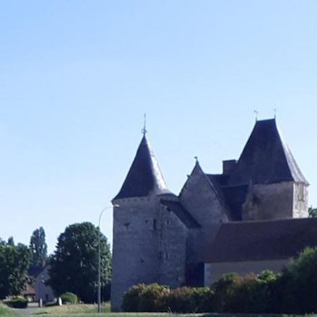 Chateau De Chémery Zewnętrze zdjęcie