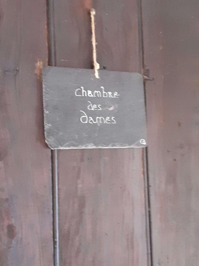 Chateau De Chémery Zewnętrze zdjęcie