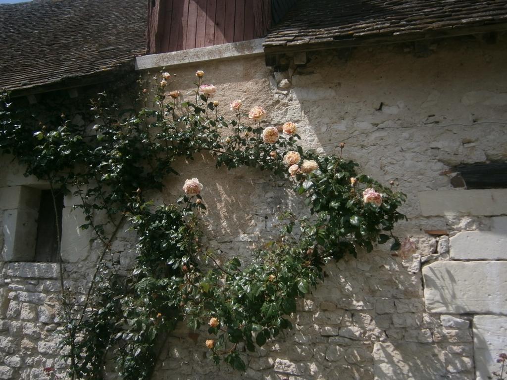 Chateau De Chémery Zewnętrze zdjęcie