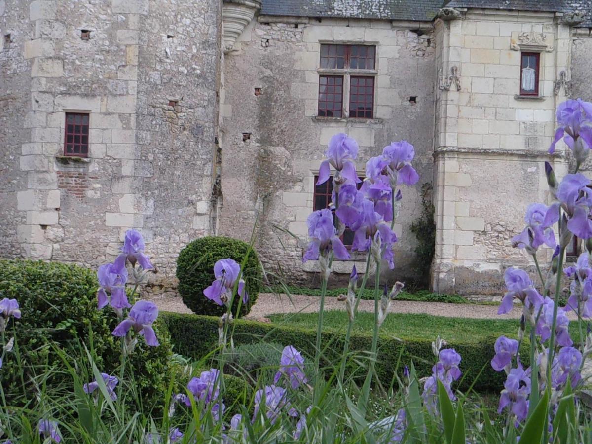 Chateau De Chémery Zewnętrze zdjęcie
