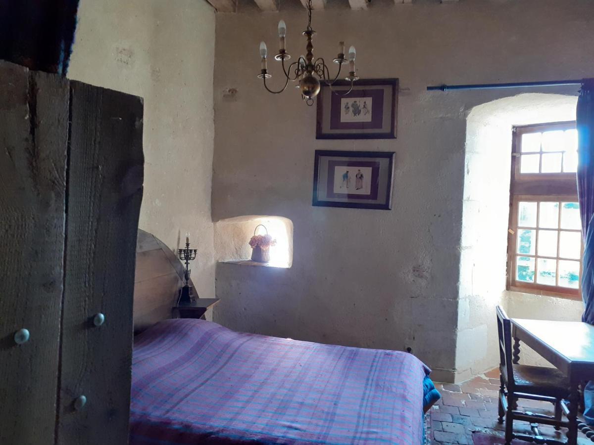 Chateau De Chémery Zewnętrze zdjęcie