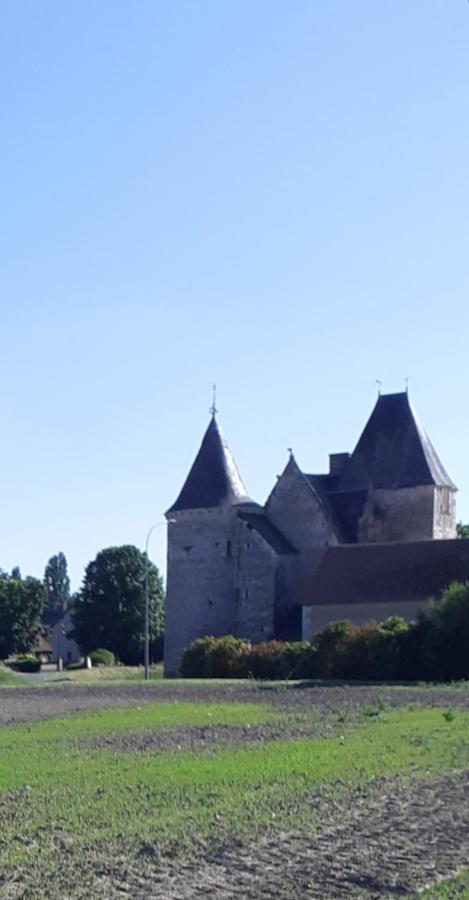 Chateau De Chémery Zewnętrze zdjęcie