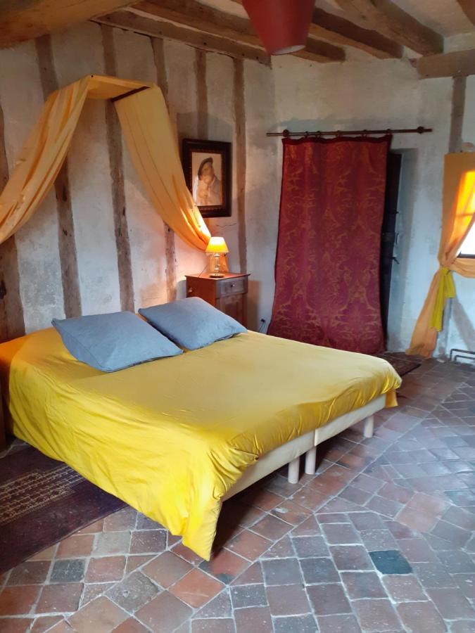Chateau De Chémery Zewnętrze zdjęcie