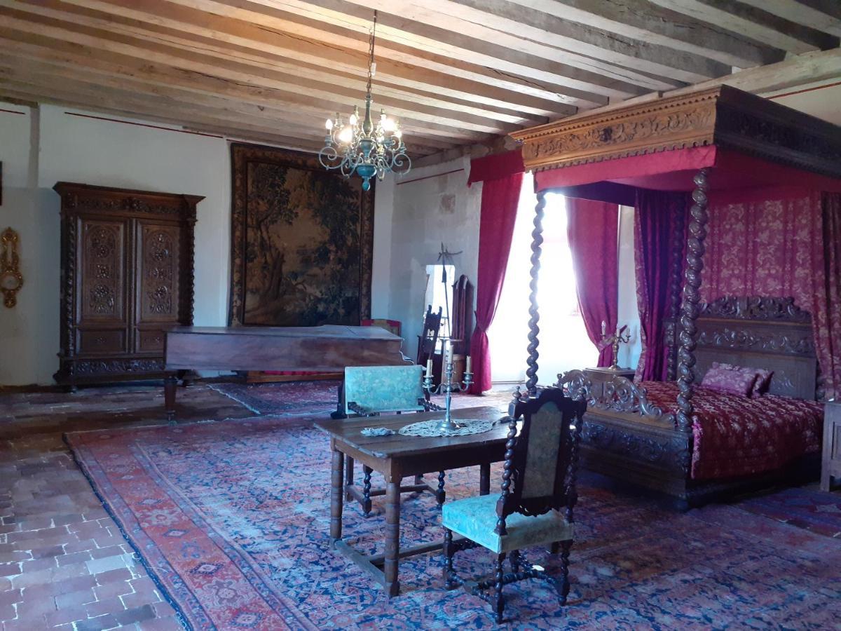 Chateau De Chémery Zewnętrze zdjęcie