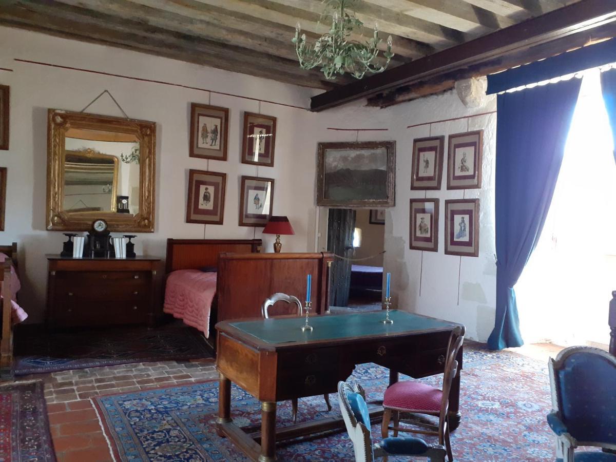 Chateau De Chémery Zewnętrze zdjęcie